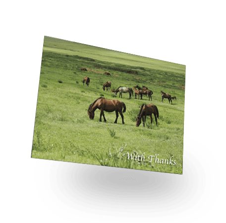 Double Sided Acknowledgement Card (LAC-17) - Image 2