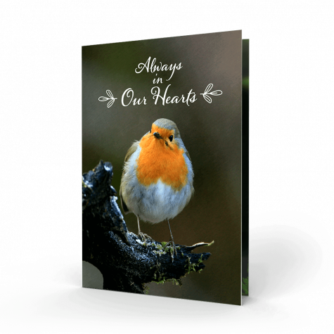 Irish Robin Red Breast Memorial Card (NMC-27)