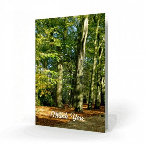 Irish woods Acknowledgment Card