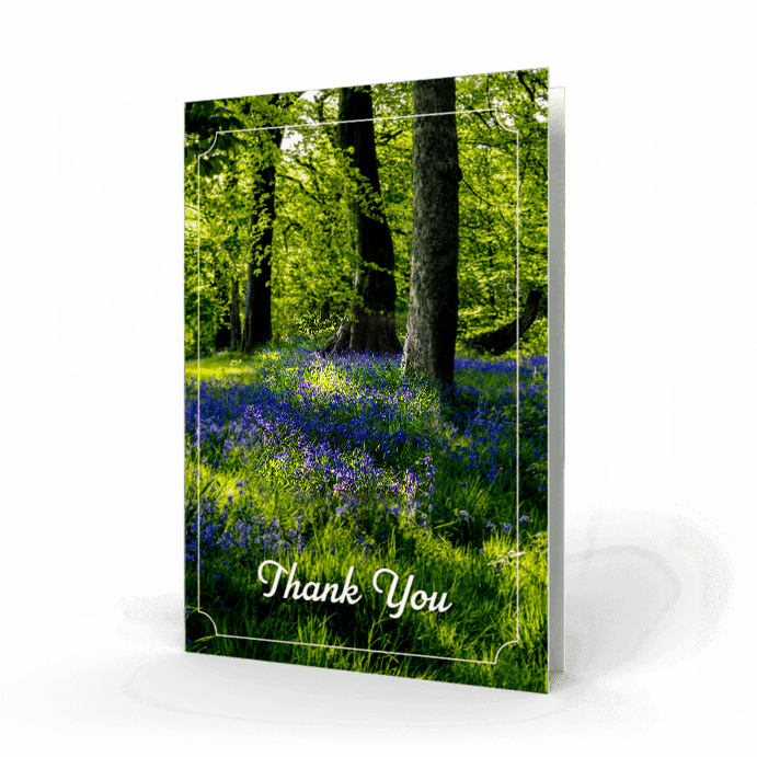 Bluebells in Forest Acknowledgement Card Cover