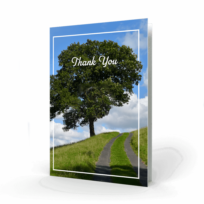 Lonely tree Acknowledgment Card