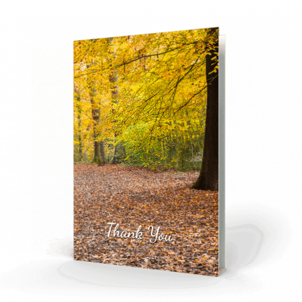 AUTUMS-IN-WOODS-Thank-You-Card-cover-600x600