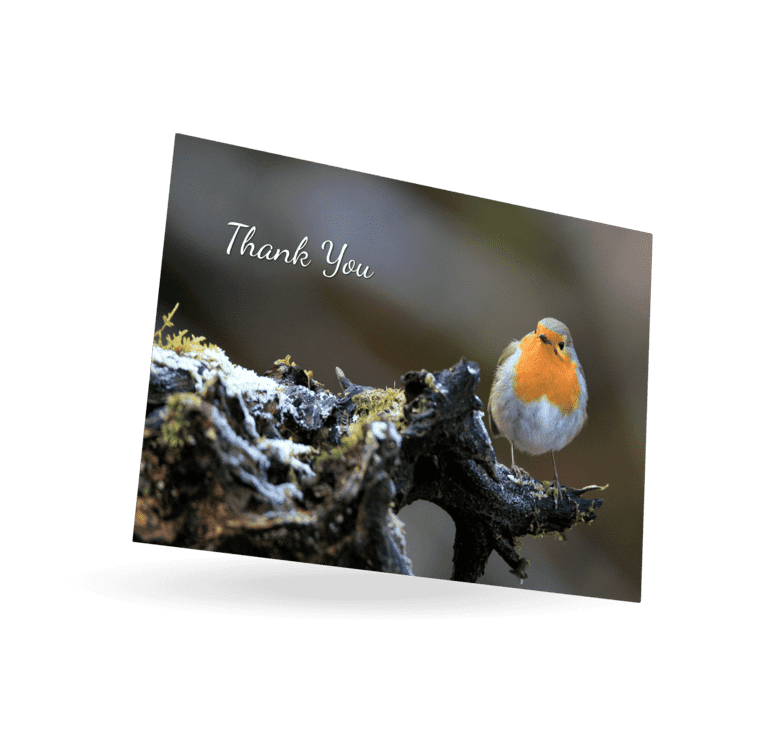 Double Sided Thank You Card (LAC-46) - Image 3